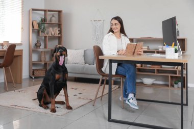 Sevimli Doberman köpeği ve güzel, mutlu, genç bir kadın iş yerinde kitabı olan.