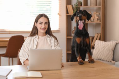 Tatlı Doberman köpeği ve evde dizüstü bilgisayarla çalışan güzel, genç ve mutlu bir kadın.