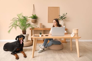 Tatlı Doberman köpeği ve evde dizüstü bilgisayarla çalışan güzel, genç ve mutlu bir kadın.