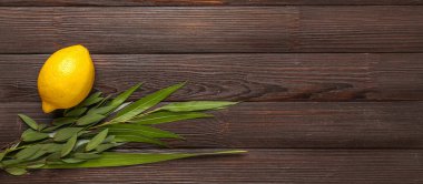 Dört tür (lulav, hadas, arava, etrog) kahverengi ahşap zemin üzerinde Sukkot şenlik sembolleri ve metin için boşluk