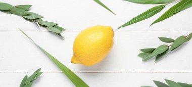 Beyaz ahşap arka planda dört tür (lulav, hadas, arava, etrog) Sukkot sembolü olarak gösterilir.