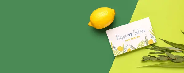 stock image Four species (lulav, hadas, arava, etrog) and greeting card with text HAPPY SUKKOT on green background with space for text