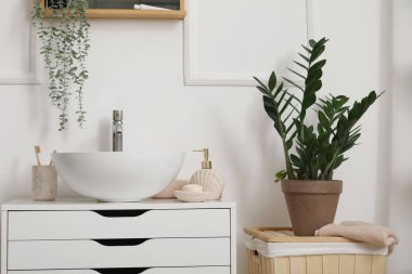 Lavabo, banyo aksesuarları ve banyo içi bitkileri.