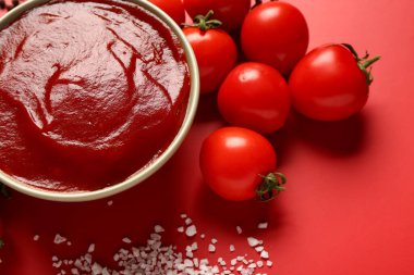 Kırmızı arka planda domates ezmesi ve taze sebzeli kase.