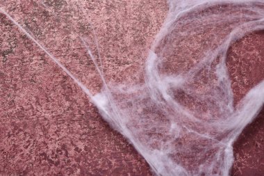 Mor arkaplanda örümcek ağı. Cadılar Bayramı