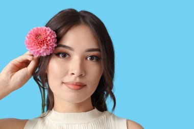 Mavi arka planda pembe yıldız çiçeği olan güzel bir Asyalı kadın.