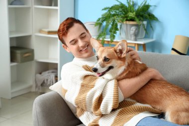 Kızıl saçlı, mutlu, tatlı Corgi köpeği olan genç adam evdeki kanepede uzanıyor.