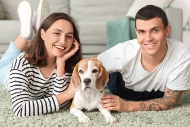 Evde halıda yatan sevimli Beagle köpeği olan genç çift.