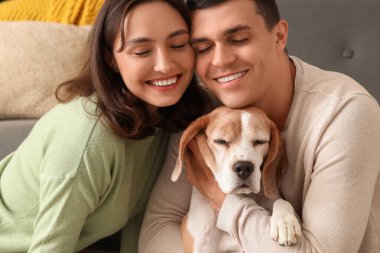 Evde sevimli Beagle köpeği olan genç çift, yakın plan.