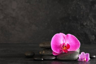 Koyu arkaplanda spa taşları ve orkide çiçekleri