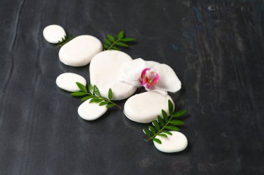 Koyu arkaplanda spa taşları ve orkide çiçeği