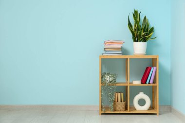 Mavi duvarın yanındaki raflarda yığınla kitap, dekor ve ev bitkisi var.