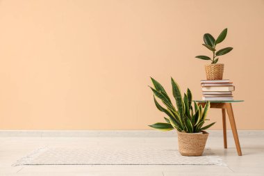 Ev bitkileri ve kitap yığını bej duvarın yanındaki sehpanın üzerinde.