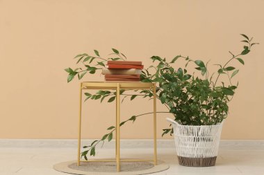 Bej duvarın yanında kitap yığını ve bitkilerle dolu bir masa.