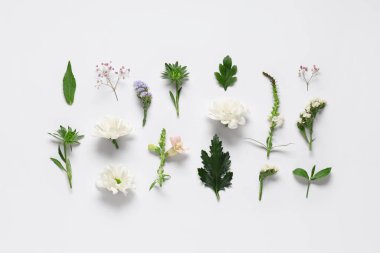 Aydınlık arkaplanda farklı çiçek ve bitki yaprakları olan kompozisyon