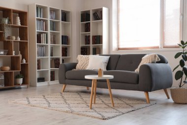 Modern gri kanepe ve oturma odasında bir sürü kitabı olan kitaplıklar.