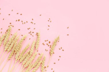 Pembe arka planda buğday kulakları ve tahıllar