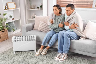 Evlerinde radyatör yakınında ekose ısıtmalı dondurucu genç çift.