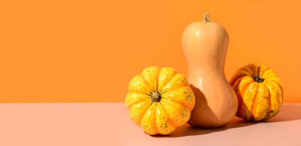 Fresh pumpkins on color background with space for text