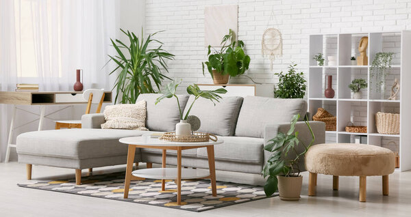 Modern interior of living room with tropical plants and stylish sofa