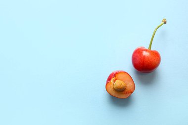 Mavi arka planda tatlı kirazlar