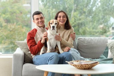 Evdeki kanepede oturan sevimli Beagle köpeği olan genç çift.