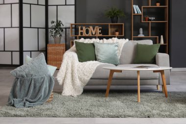 Rahat bir kanepe, yastıklar ve şık bir oturma odasında ekose.