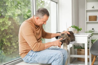 Olgun bir adam evdeki tırmalama direğinde sevimli kediyi okşuyor.