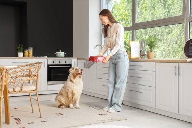 Avustralya çoban köpeğini evde kuru yiyecekle besleyen genç bir kadın.