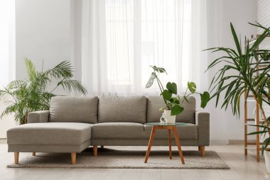 Rahat bir kanepe, masa ve oturma odasının iç tarafındaki pencerenin yanındaki farklı bitkiler.