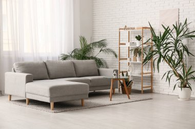 Rahat bir kanepe, masa ve aydınlık oturma odasının içindeki farklı bitkiler.