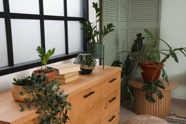 Şık yatak odasında tahta sandık ve ev bitkileri.