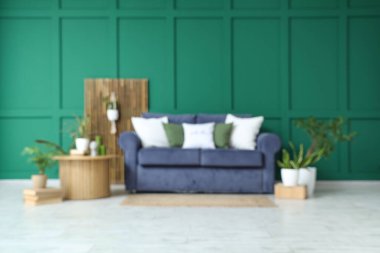 Oturma odası, kanepe, yuvarlak masa ve yeşil duvarın yanındaki farklı bitkiler.