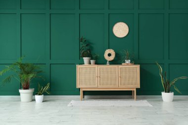 Çekmeceler ve oturma odasındaki yeşil duvarın yanındaki farklı bitkiler.