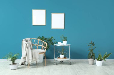 Hasır sandalye, masa ve oturma odasındaki mavi duvarın yanındaki farklı bitkiler.