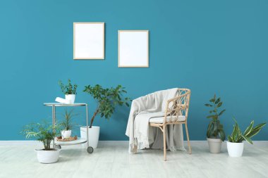 Hasır sandalye, masa ve oturma odasındaki mavi duvarın yanındaki farklı bitkiler.