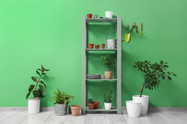 Odada yeşil duvarın yanında farklı ev bitkileri olan raf ünitesi.