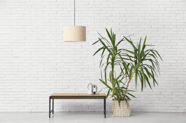 Asılı lamba, dekoratif palmiye ağacı ve beyaz tuğla duvarın yanındaki tezgah.