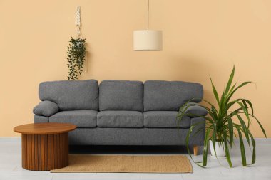 Sallanan lamba, kanepe, sehpa ve odanın yanındaki bej duvarın yanındaki bitkiler.