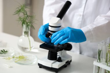 Mikroskopla çalışan kadın bilim adamı ve laboratuarda bitki örnekleri, yakın plan