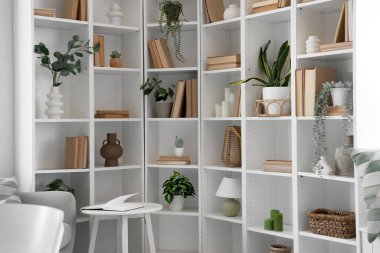 Kitaplık ve ev bitkileri modern oda içinde.