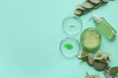 Bir kavanoz aloe vera jeli, turkuaz arka plan üzerine doğal kozmetik hazırlamak için numune ve bitkilerle dolu petri kapları.