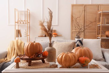 Oturma odasındaki vazoda otlar ve balkabakları olan vazo.