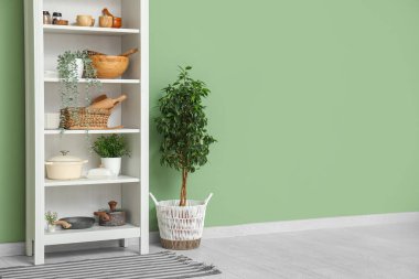 Mutfaktaki yeşil duvarın yanında bulaşık takımı ve bitkisi olan modern raf ünitesi.