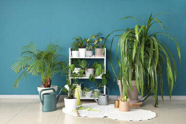 Odanın içinde raf ünitesi, bahçe aletleri ve bitkiler var.