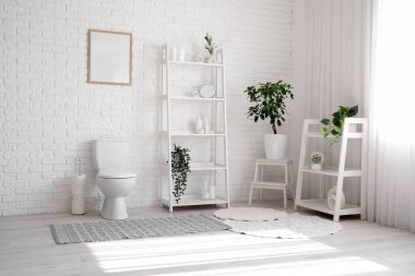 Tuvaletin içinde klozet, raf üniteleri ve bitkiler var.