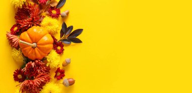 Kasımpatı çiçekleri, balkabağı ve meşe palamudu içeren güzel bir kompozisyon.