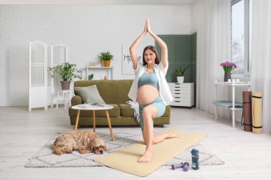 Cocker Spaniel 'le evde yoga yapan güzel, sportif, hamile bir kadın.