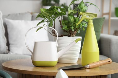 Oturma odasındaki masada bahçe aletleri olan bitki, yakın plan.