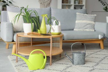 Oturma odasının içinde kanepe, yeşil bitkiler ve bahçe aletleri var.